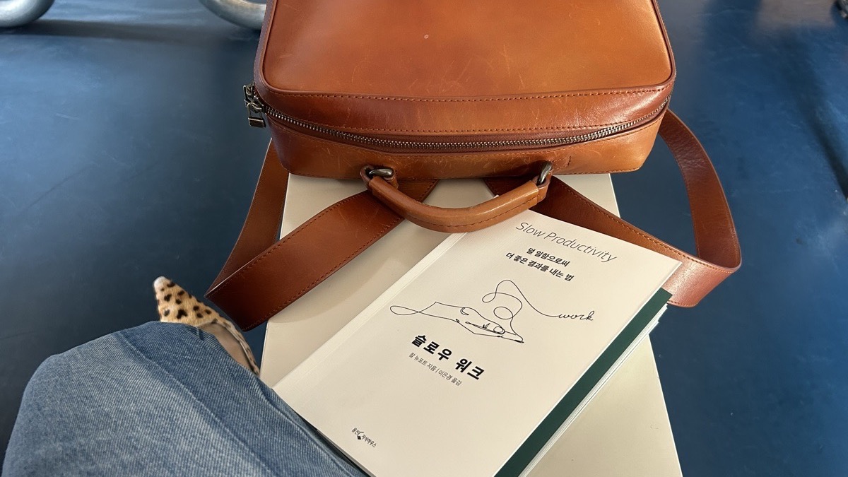 슬로우 워크 (Slow Productivity) - 칼 뉴포트